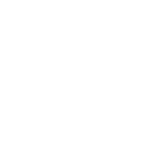 Secure web browser
